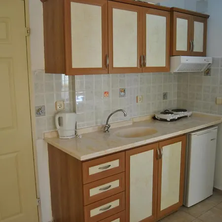 호텔 Club Ekinci Palace 3*