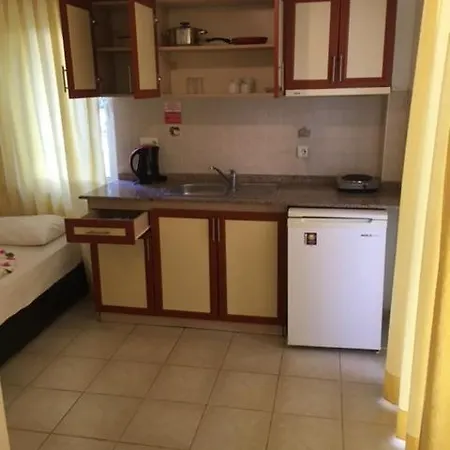 Club Ekinci Palace 3* 무글라